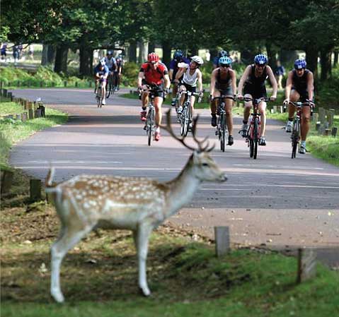 London Duathalon